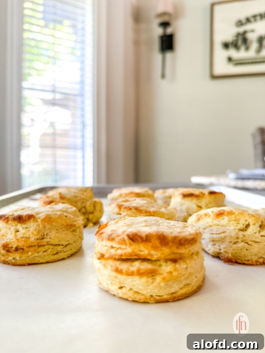 Buttermilk Biscuits with a Tangy Twist 6 Biscuits on a baking sheet.