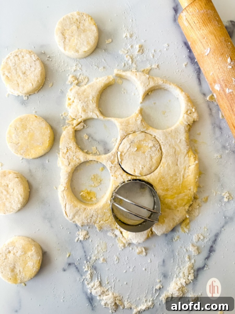 Buttermilk Biscuits with a Tangy Twist 10 Dough cut out with a biscuit cutter and set to the side.