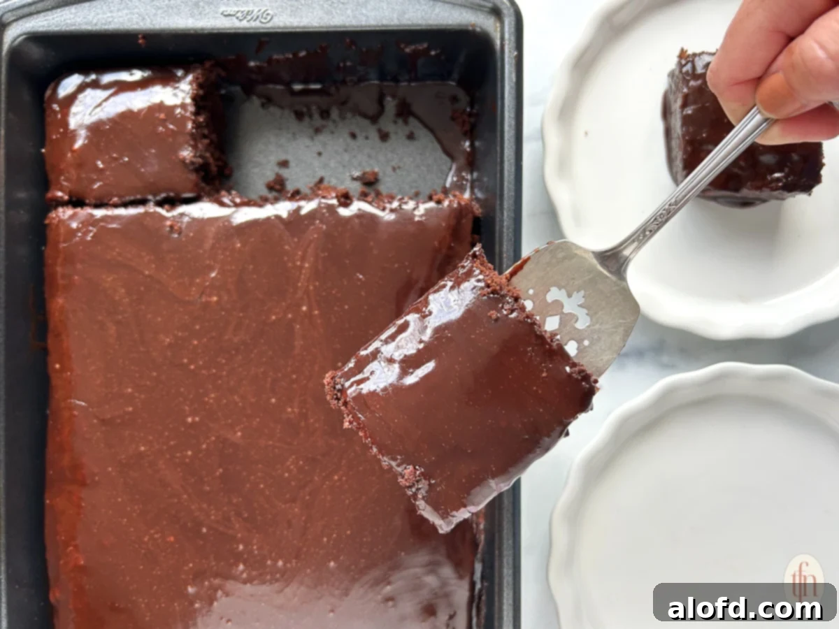 A silver serving spoon poised over a pan of rich chocolate cake, ready to scoop out a slice, with the cake beautifully frosted.