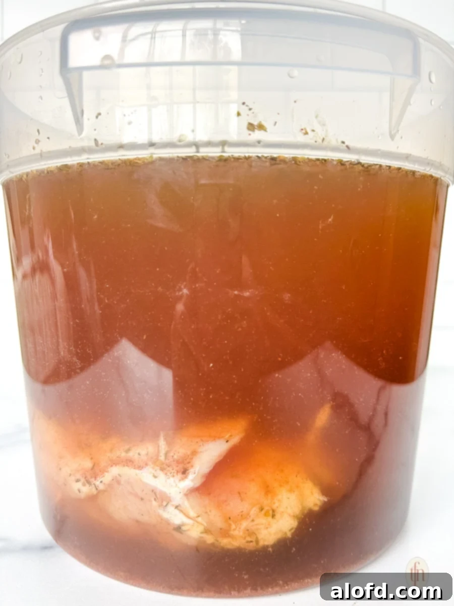 Bold Cajun Turkey Brine 8 Bucket with turkey and brine.