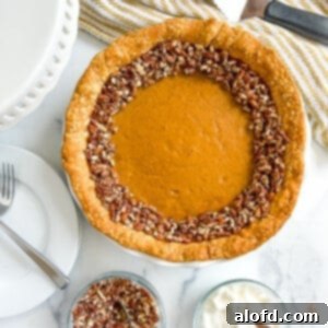 Velvety Pumpkin Custard Pie 11 Baked pumpkin pie topped with chopped nuts.