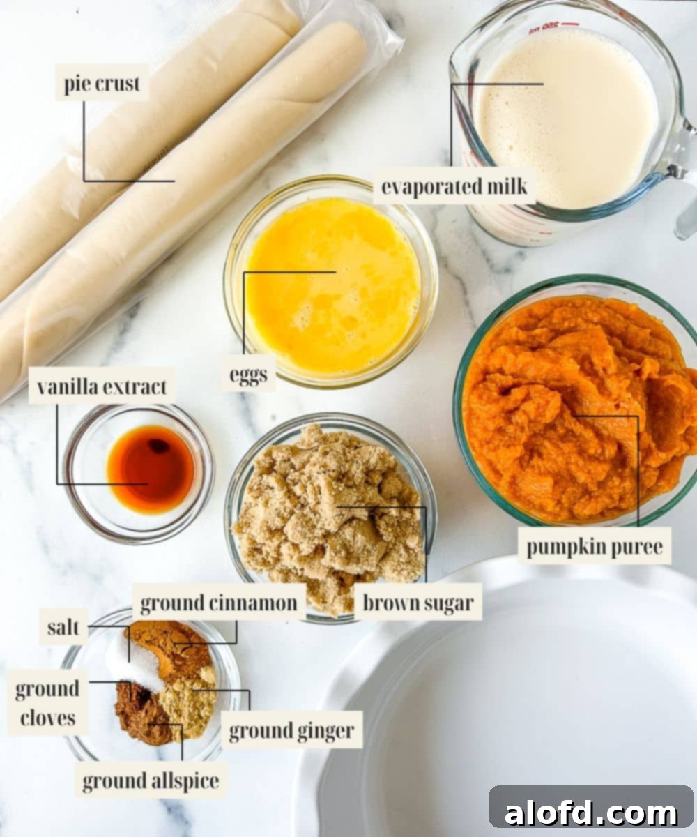 Velvety Pumpkin Custard Pie 4 Labeled ingredient image for pumpkin custard pie recipe.