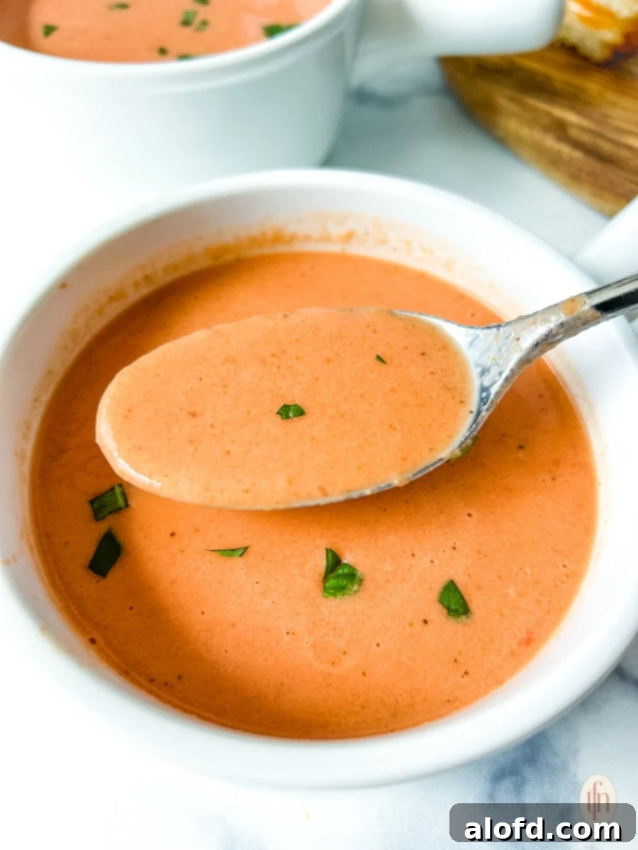 The Ultimate 3-Ingredient Tomato Soup 3 A spoon delicately lifting creamy tomato soup out of a white bowl, garnished with fresh basil leaves.