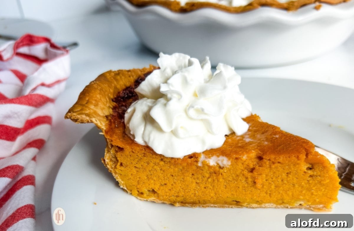 Slice of carrot pie topped with a dollop of whipped cream.