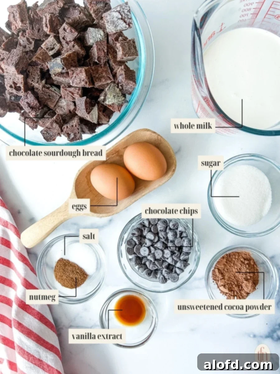 Labeled ingredient image for chocolate sourdough bread pudding recipe. Ingredients include eggs, milk, vanilla, sugar, cocoa, nutmeg, salt, and chocolate chips.