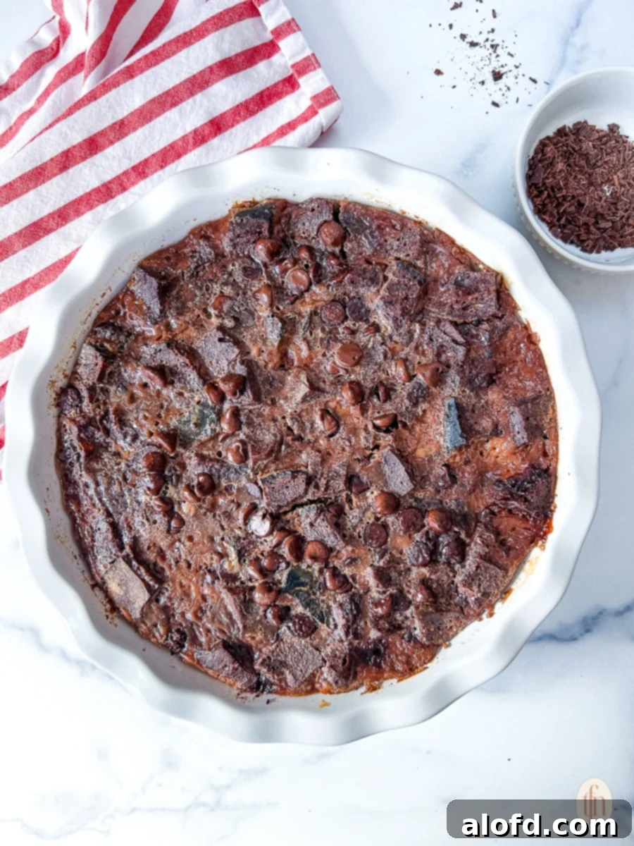 Baked chocolate sourdough bread pudding, golden brown and ready to serve.