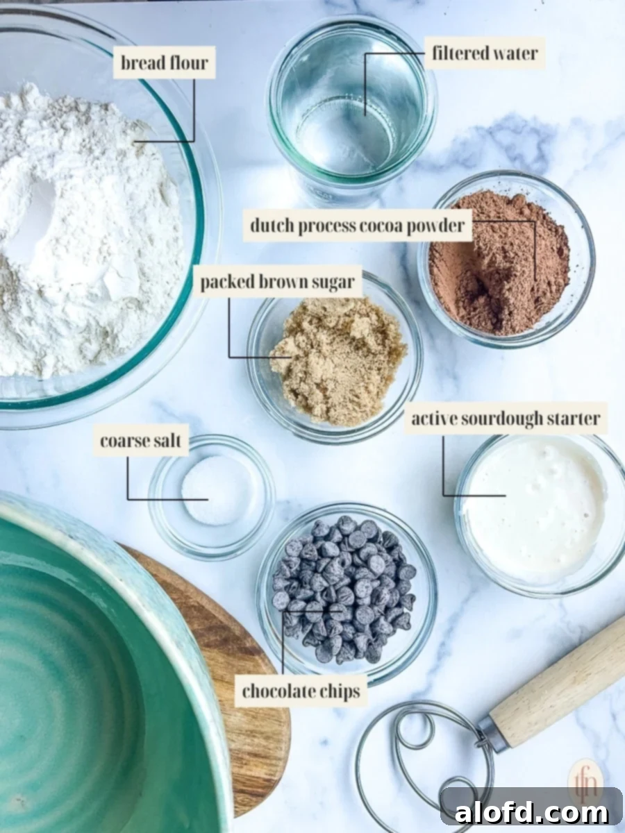 Decadent Chocolate Sourdough 4 A carefully arranged collection of ingredients for chocolate sourdough bread, including flour, cocoa powder, chocolate chips, sourdough starter, water, and brown sugar, all neatly labeled.