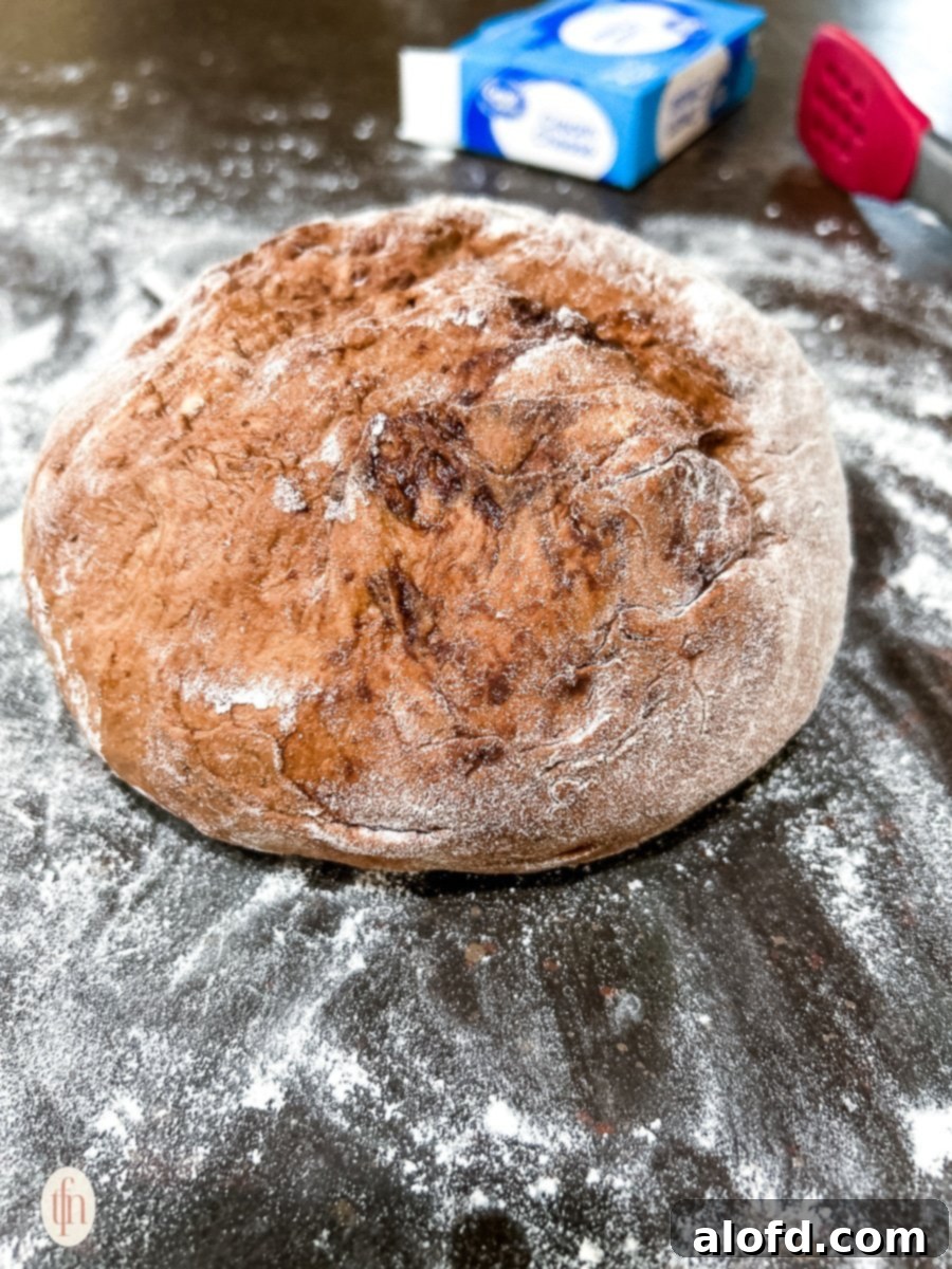 Decadent Chocolate Sourdough 7 A large ball of chocolate sourdough dough, visibly expanded and bubbly, resting in a bowl on a dark surface, indicating a successful bulk rise.