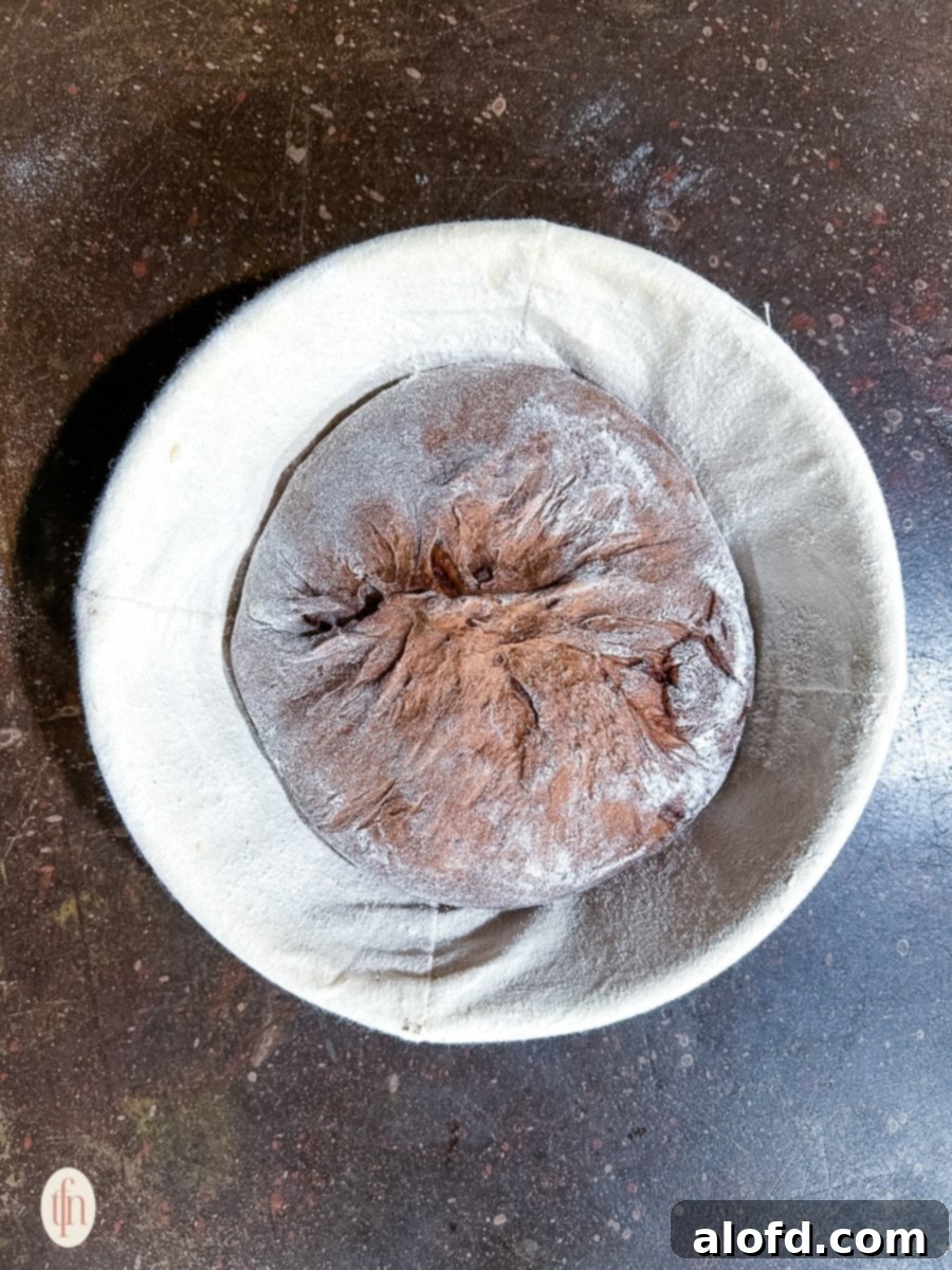 Decadent Chocolate Sourdough 9 A shaped ball of chocolate sourdough dough resting in a towel-lined banneton bowl, dusted with flour, undergoing its final proof before baking.