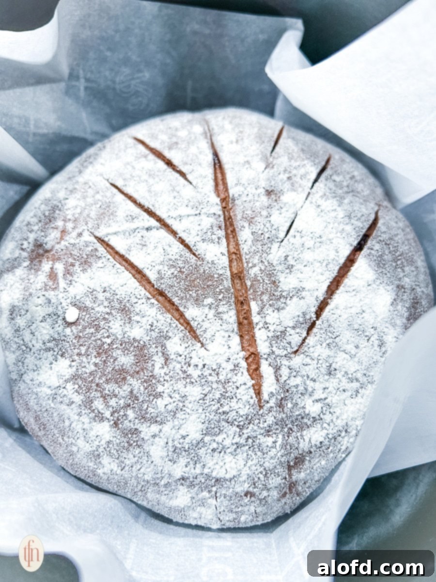 Decadent Chocolate Sourdough 10 A beautiful, baked chocolate sourdough bread loaf dusted lightly with powdered sugar, resting on a white napkin, ready to be served.