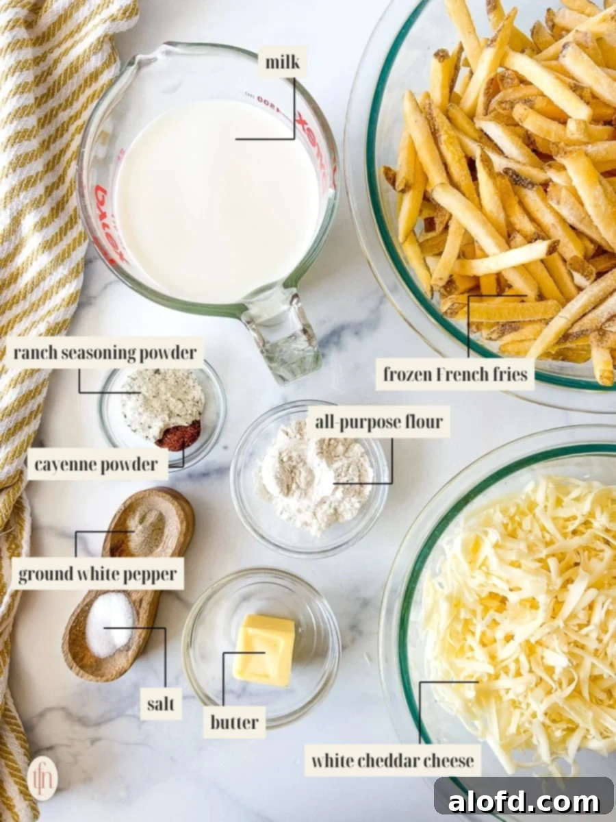 Voodoo Kitchen Fries 4 A flat lay image showing all labeled ingredients required for the Louisiana Voodoo Fries recipe, including fries, butter, milk, flour, various spices, and a block of white cheddar cheese.