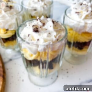 Velvety Vanilla Cloud 11 Four glass cups filled with chocolate bread, pudding, and topped with whipped cream.