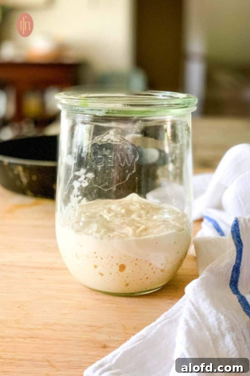 Sourdough Discard Demystified 2 A jar of sourdough starter.