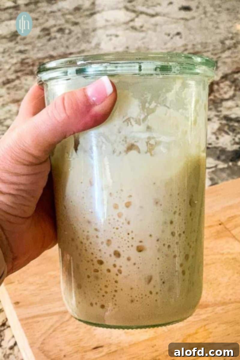 Sourdough Discard Demystified 23 A jar of sourdough starter.