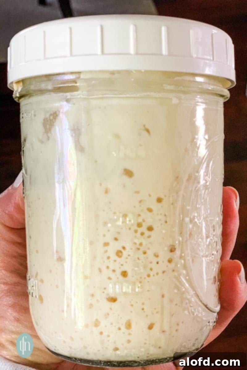 Sourdough Discard Demystified 4 A jar of sourdough starter.