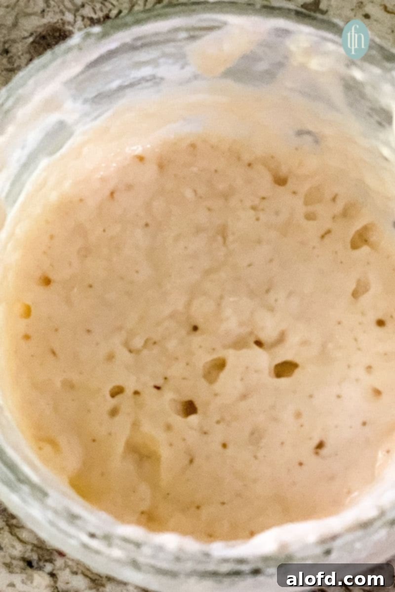 Sourdough Discard Demystified 5 A jar of sourdough starter.