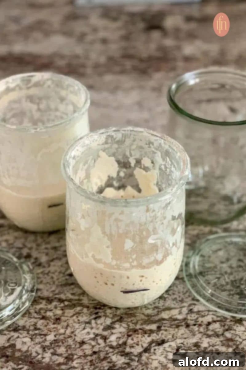 Sourdough Discard Demystified 6 Two weck jars with starter and an empty jar.