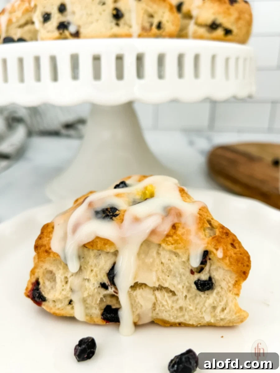 Artisan Sourdough Blueberry Scones 2 Freshly baked blueberry sourdough scones on a white plate, ready to be served.