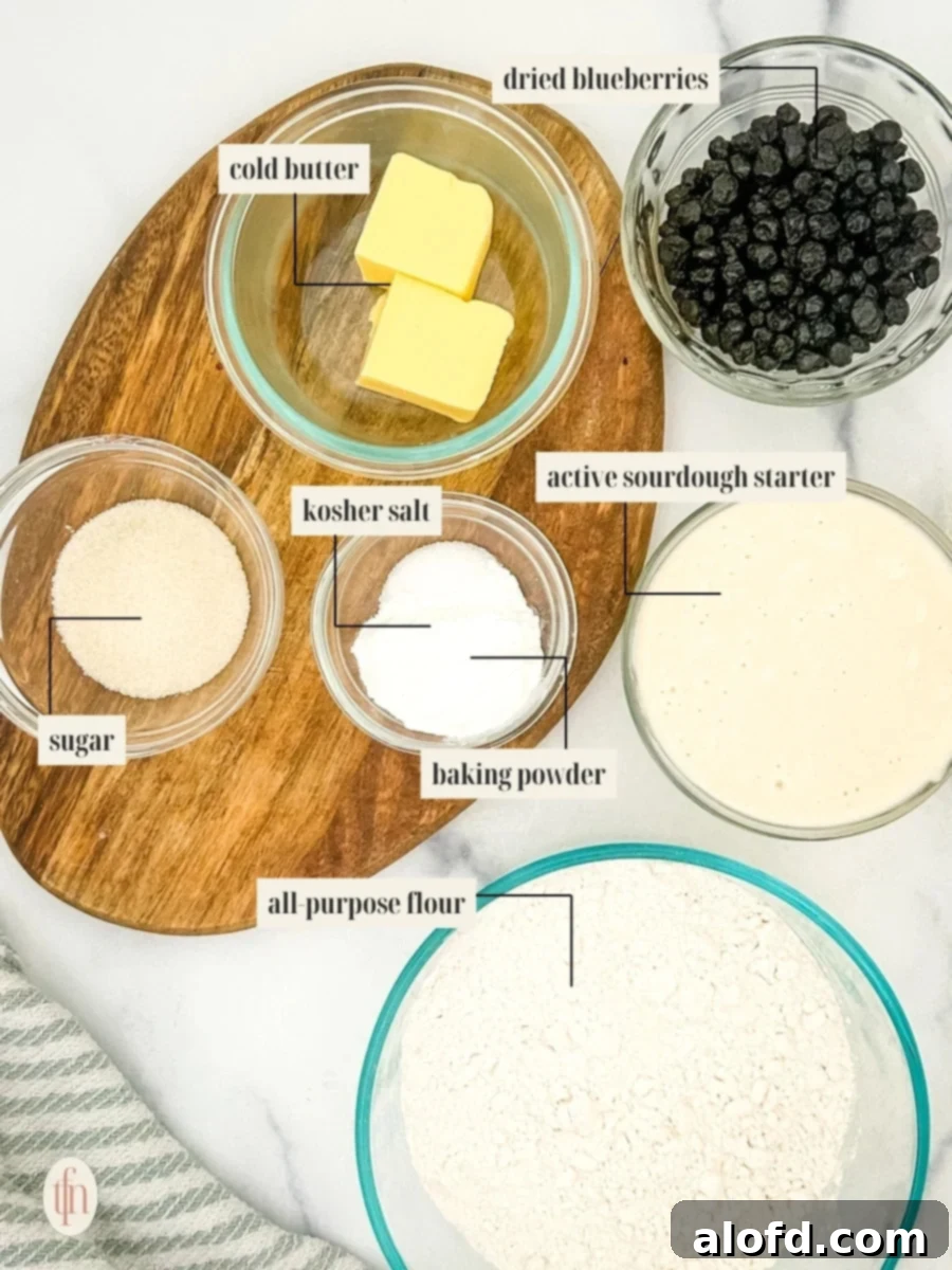 Artisan Sourdough Blueberry Scones 4 Collection of fresh ingredients for sourdough scones: flour, sugar, blueberries, butter, cream, and sourdough starter.