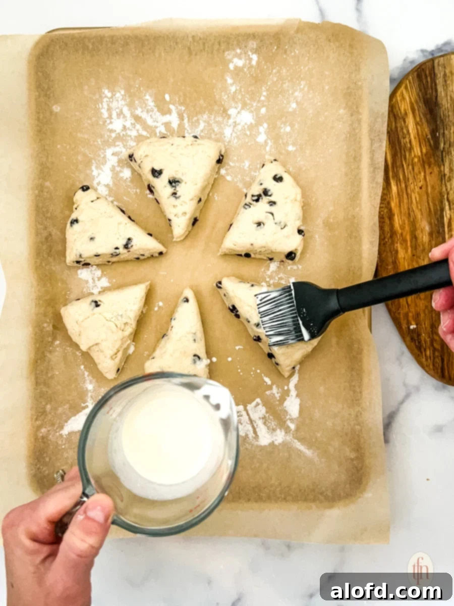 Artisan Sourdough Blueberry Scones 8 Unbaked blueberry sourdough scones being brushed with milk on a baking sheet with parchment paper.
