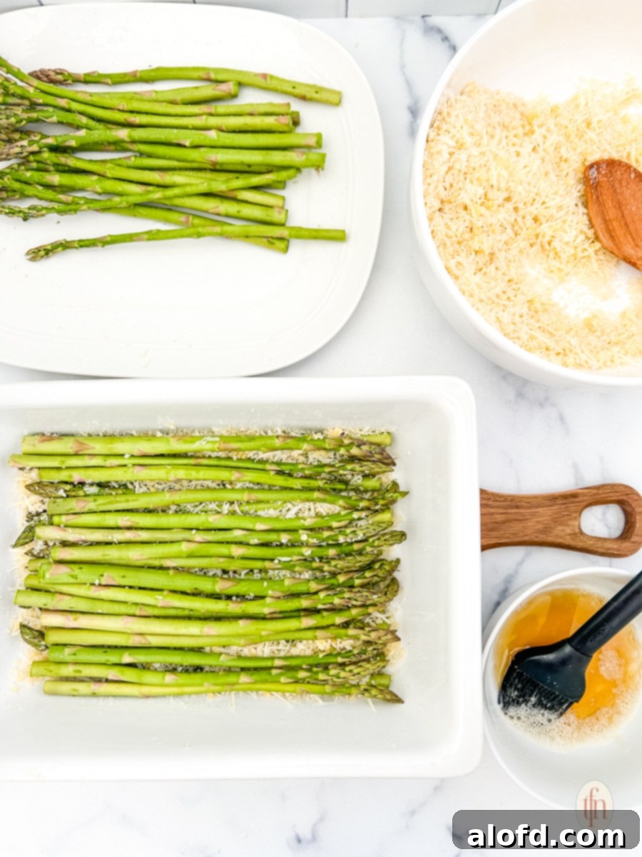 Creamy Asparagus Cheese Bake 9 Arranging parmesan asparagus roasted on a casserole dish with a couple of ingredients before baking.