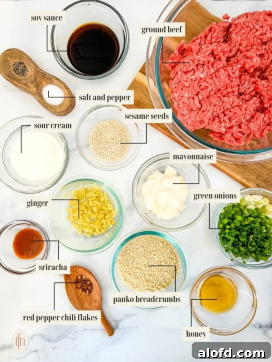 Dynamite Meatballs 4 Labeled ingredient image for meatball recipe.