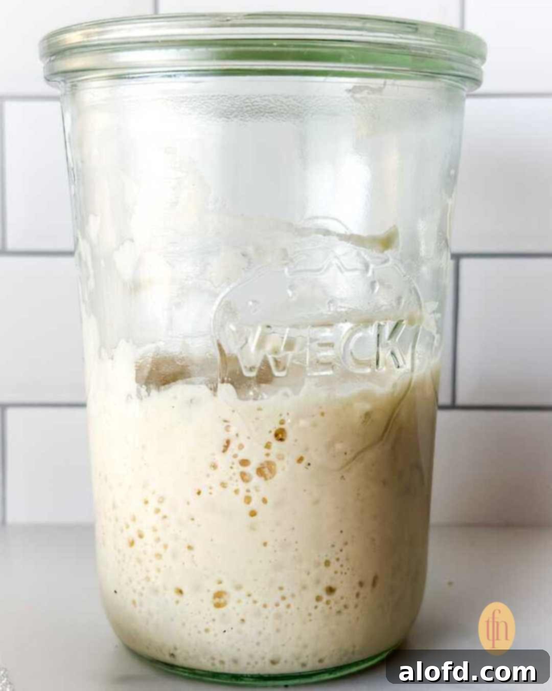 Banish Sourdough Starter Blues 2 Sourdough starter on a weck jar.