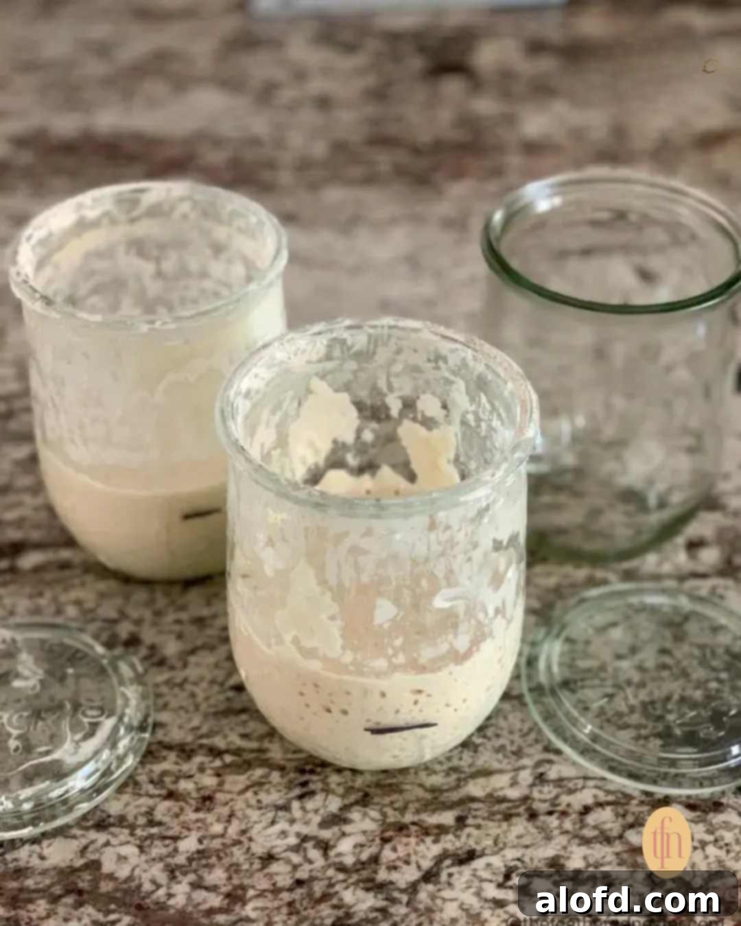 Banish Sourdough Starter Blues 12 Two jars of sourdough starter with one empty Weck jar and two Weck jar covers on top of a granite counter.