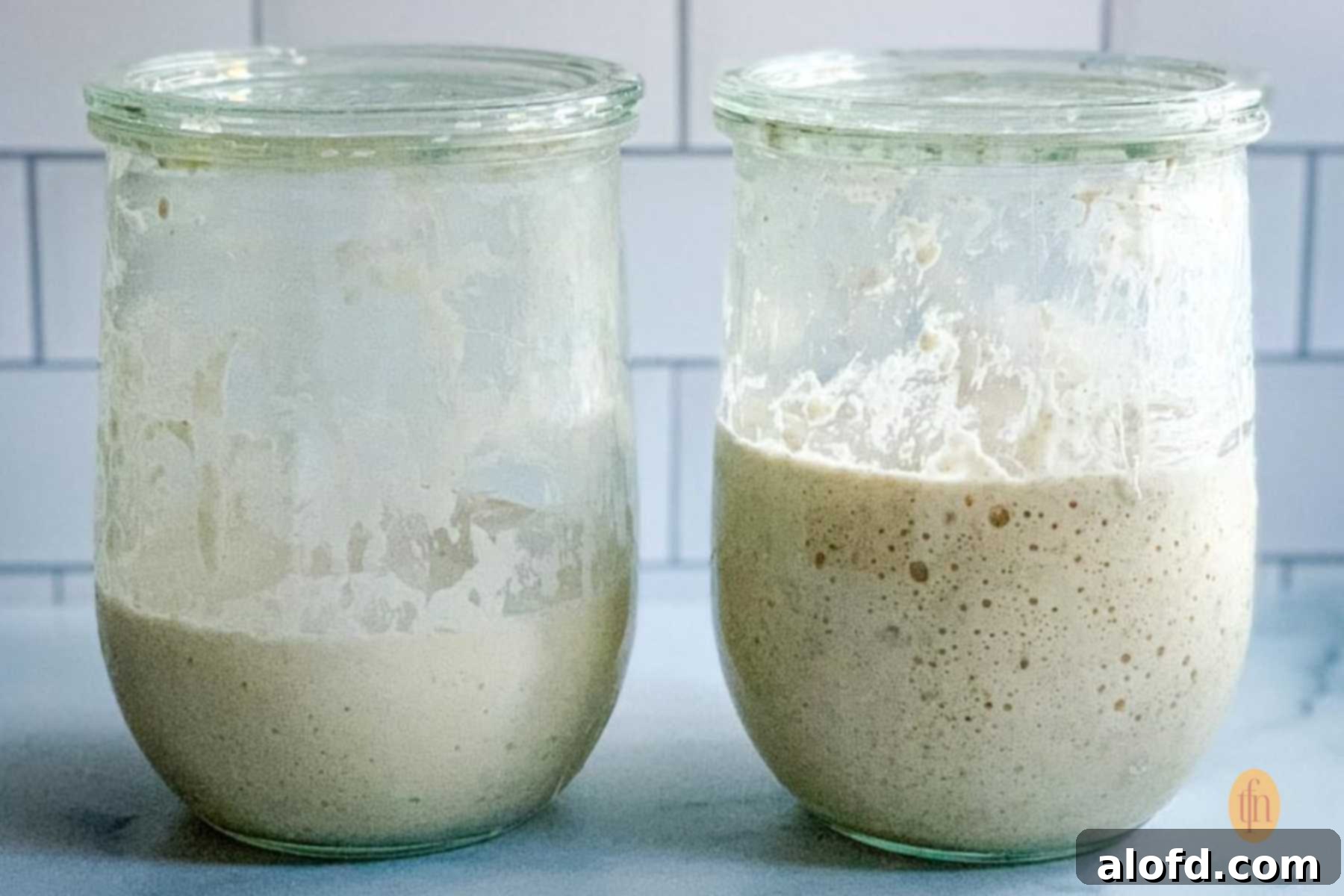 Banish Sourdough Starter Blues 6 Two jars of sourdough starter.