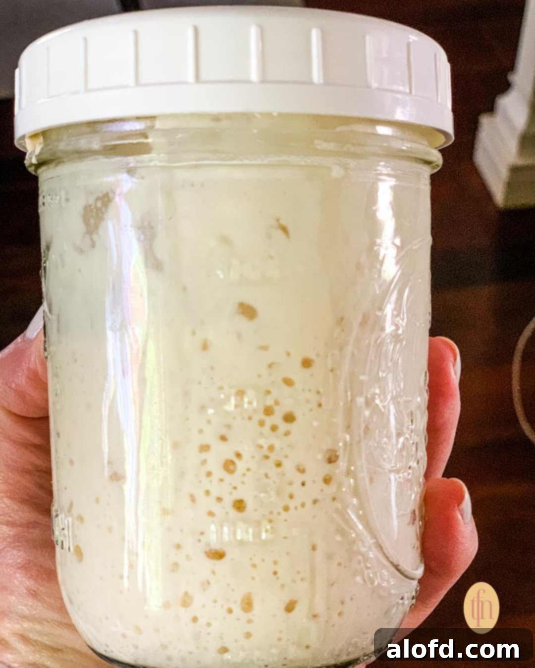 Banish Sourdough Starter Blues 7 Sourdough starter on a Weck jar, grabbed in one hand.