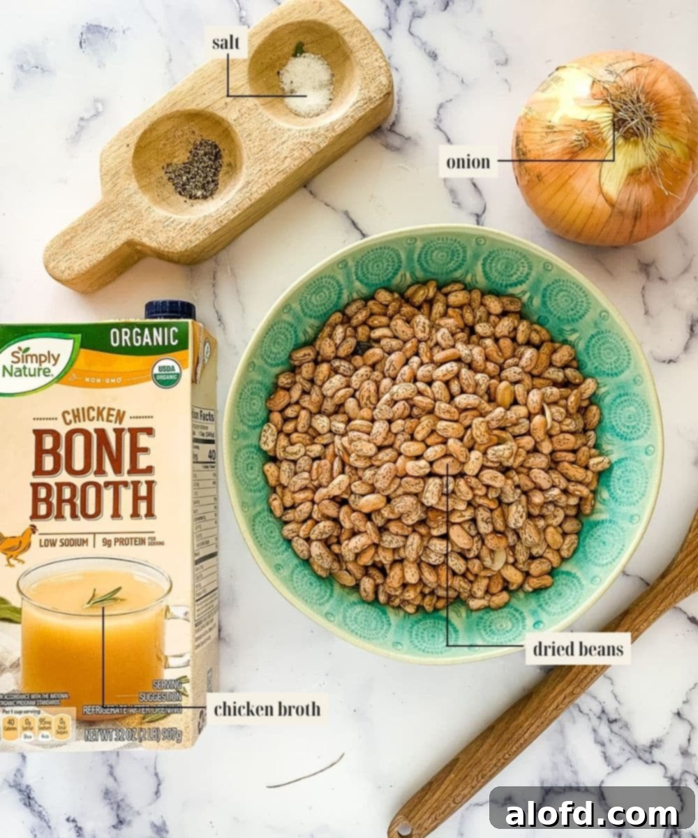 Speedy Instant Pot Pinto Beans 5 Labeled ingredients image for pinto beans, showcasing fresh produce and spices.