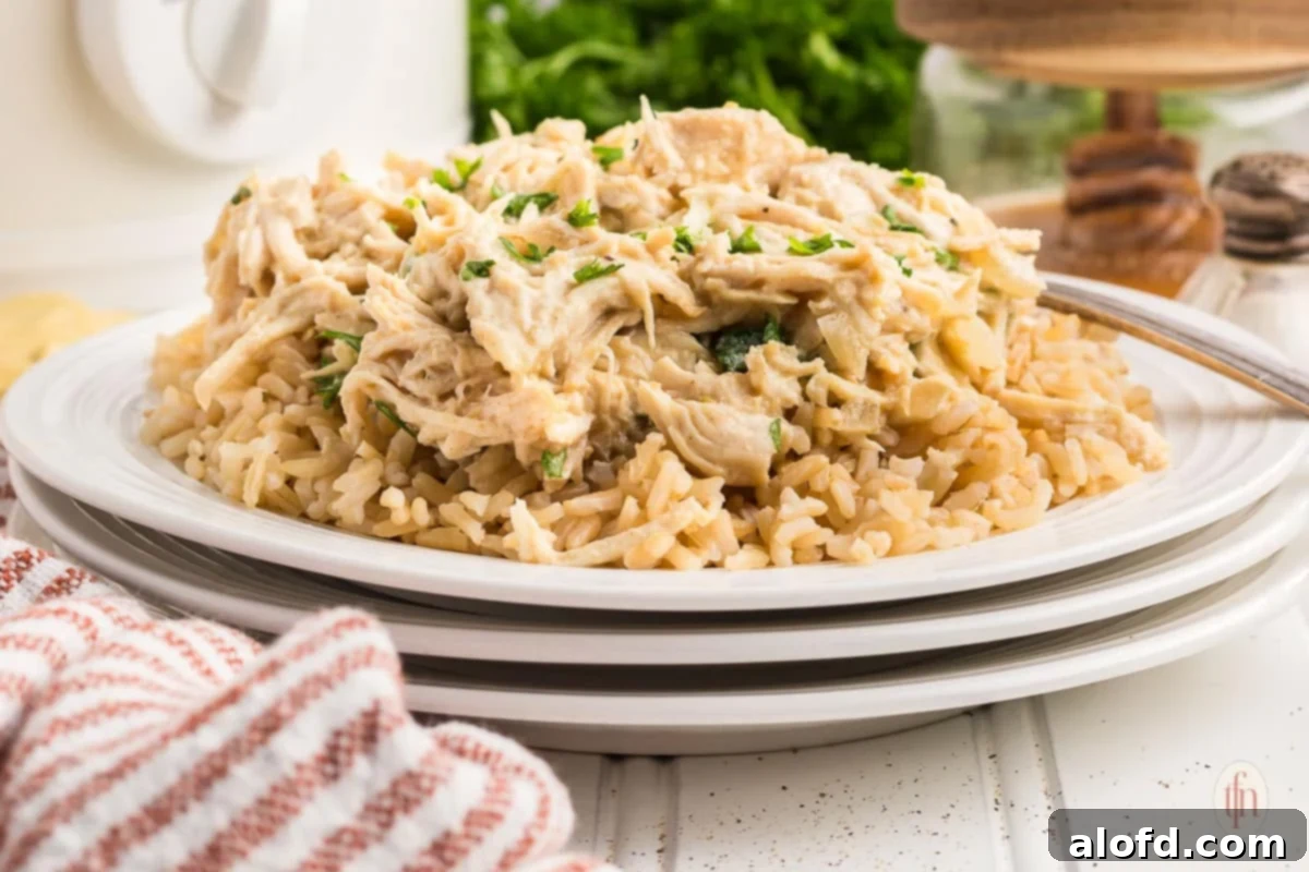 Sweet and Tangy Slow Cooker Honey Mustard Chicken 12 Shredded chicken over brown rice ready to serve.