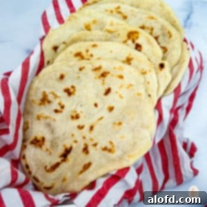 Artisan Sourdough Flatbread 12 Sourdough flatbread on a red kitchen towel.