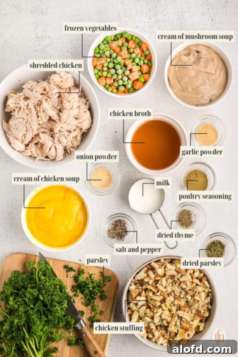 All the essential ingredients neatly labeled and arranged for the chicken and stove top stuffing casserole recipe.