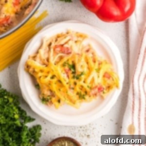 Spicy Rotel Chicken Spaghetti Casserole 19 A hearty plate of Rotel Chicken Spaghetti, ready to eat.