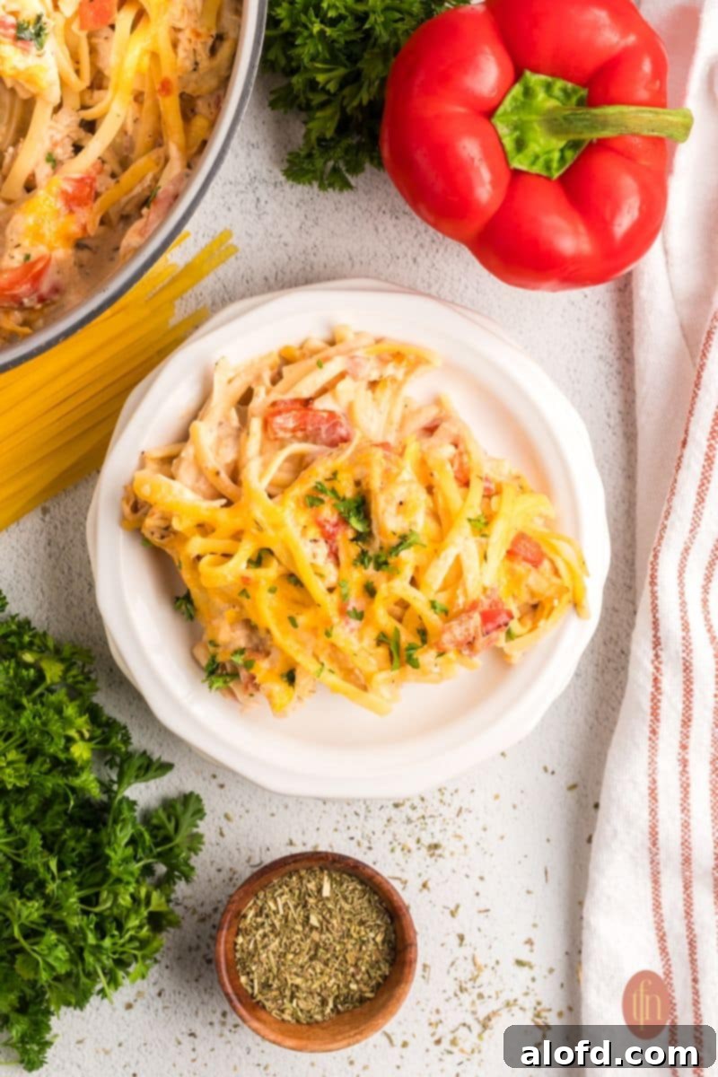 Spicy Rotel Chicken Spaghetti Casserole 3 A generous serving of creamy Rotel chicken spaghetti presented on a white plate, garnished with fresh parsley.