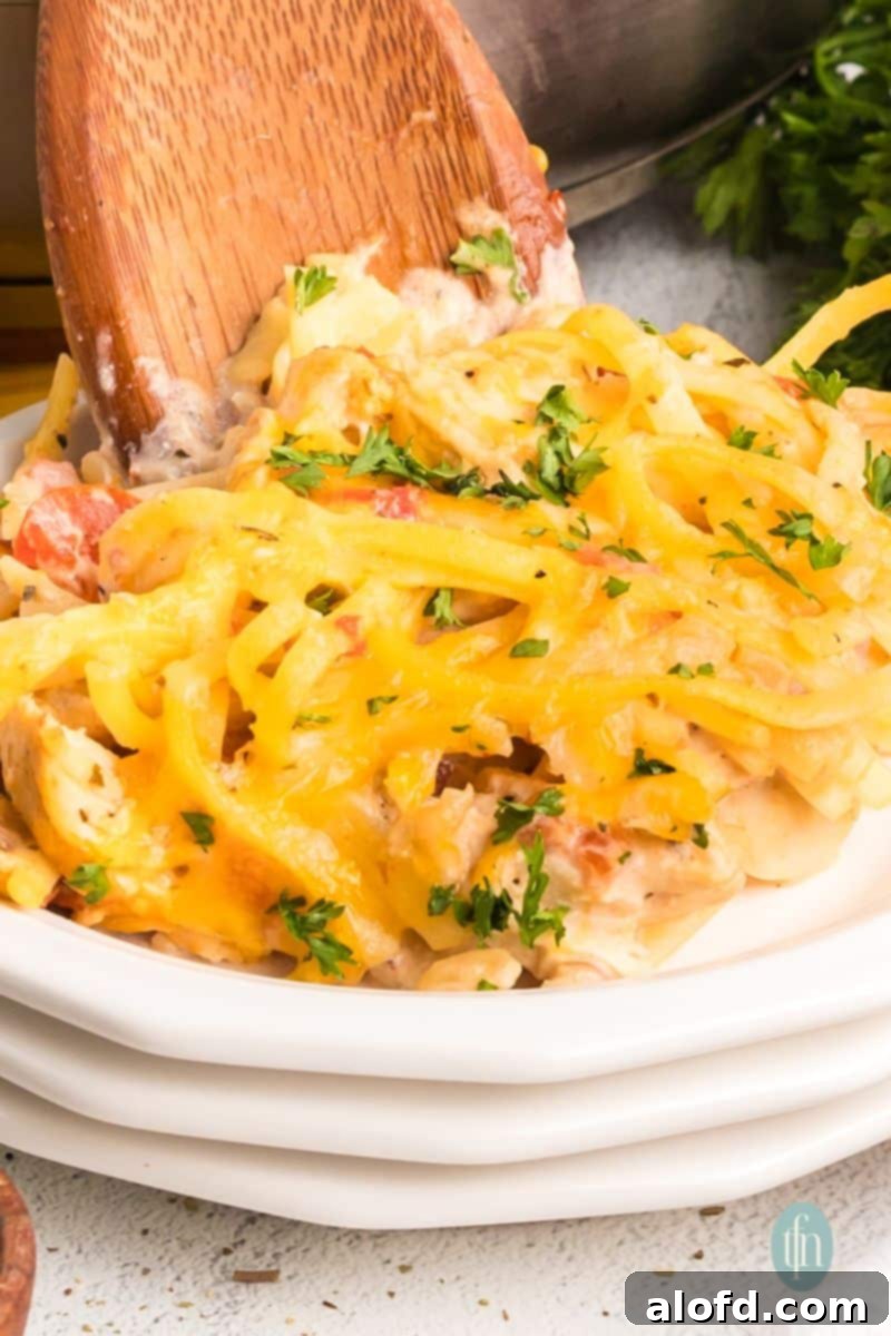 Spicy Rotel Chicken Spaghetti Casserole 6 A bowl of creamy Rotel chicken spaghetti, garnished with fresh herbs, ready to be enjoyed.