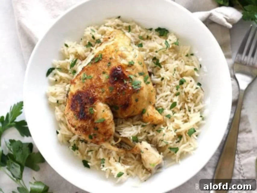 Effortless Instant Pot: 5-Ingredient Meals 9 A comforting bowl of Pressure Cooker Chicken and Rice, a complete meal made effortlessly.