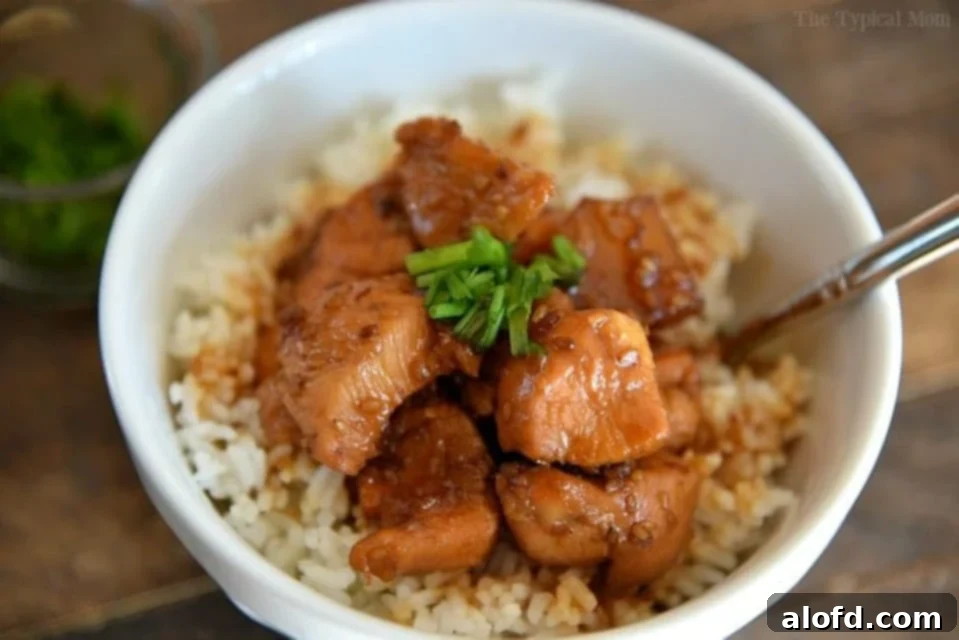 Effortless Instant Pot: 5-Ingredient Meals 12 Tender Instant Pot Teriyaki Chicken served over rice, a quick and easy Asian-inspired dinner.