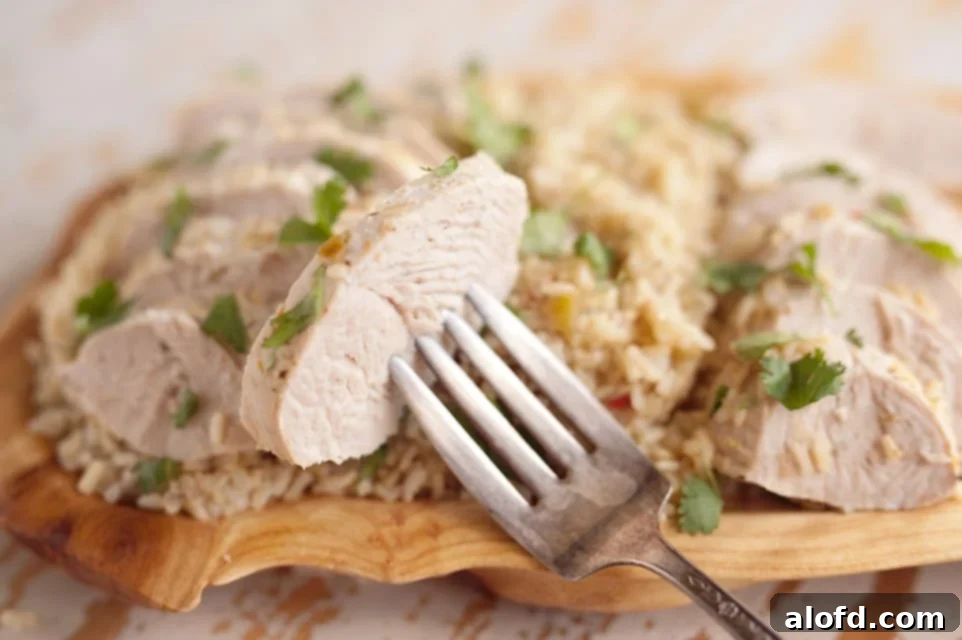 Effortless Instant Pot: 5-Ingredient Meals 17 A comforting dish of Instant Pot Turkey Verde Rice, a hearty and easy dinner option.