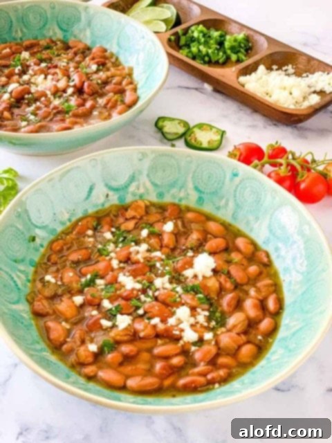 Effortless Instant Pot: 5-Ingredient Meals 20 A vibrant green bowl filled with perfectly cooked Instant Pot Pinto Beans, a no-soak recipe.