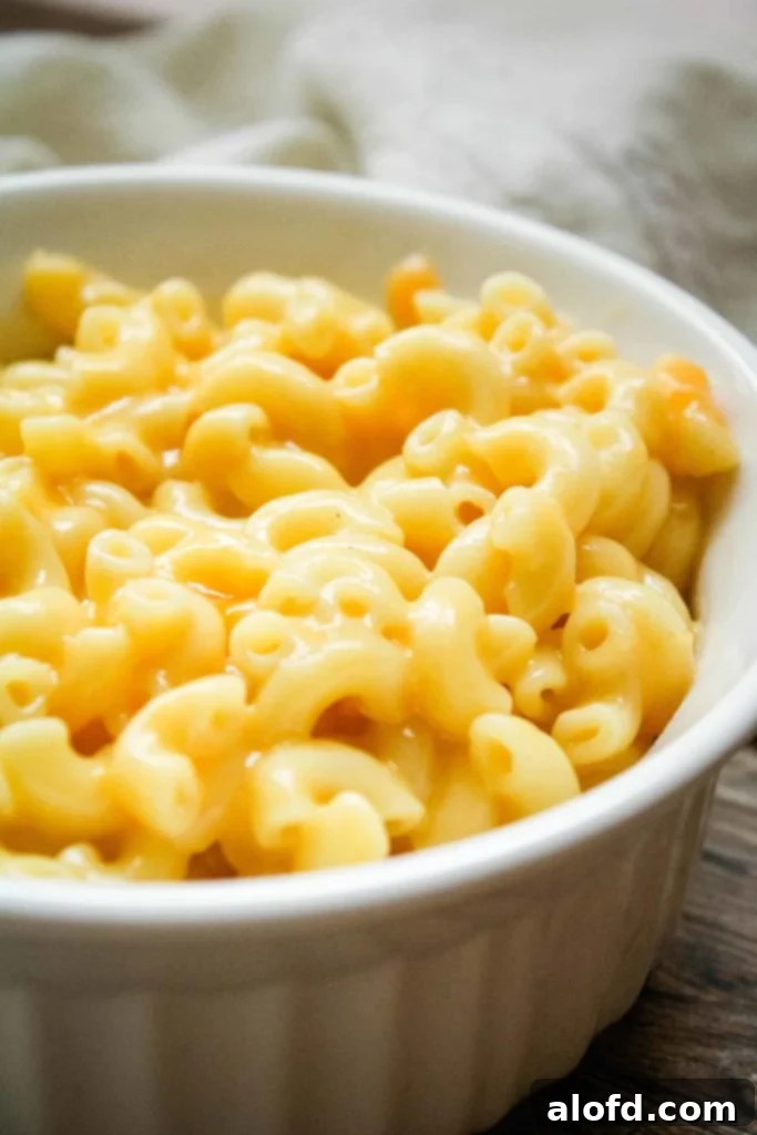 Effortless Instant Pot: 5-Ingredient Meals 23 A creamy bowl of Instant Pot Mac and Cheese, made with just 5 simple ingredients.