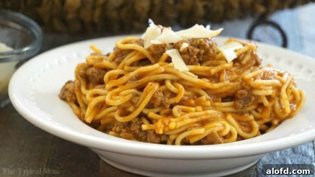 Effortless Instant Pot: 5-Ingredient Meals 22 A hearty bowl of Instant Pot Spaghetti, a family favorite prepared with less than 5 ingredients.