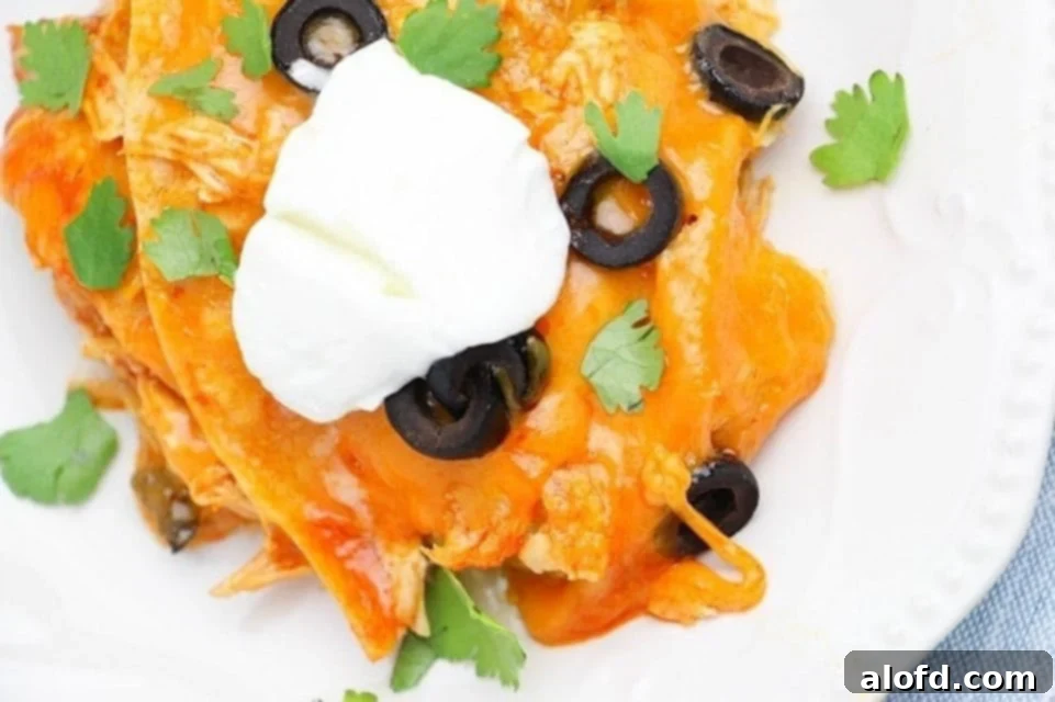 Effortless Instant Pot: 5-Ingredient Meals 6 Hearty Instant Pot Chicken Enchilada Casserole, a comforting 5-ingredient meal perfect for a summer dinner.