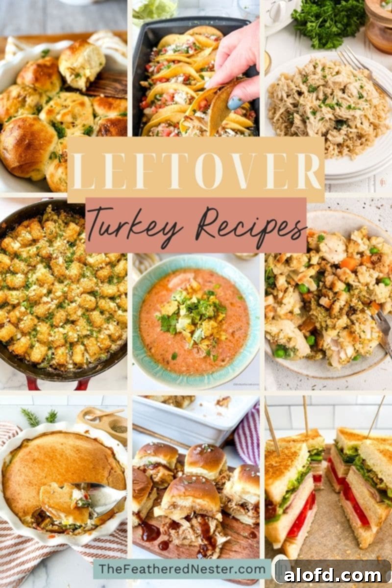 Reinventing Your Thanksgiving Turkey 2 Titled graphic collage of 9 leftover turkey food images showcasing diverse recipe ideas.