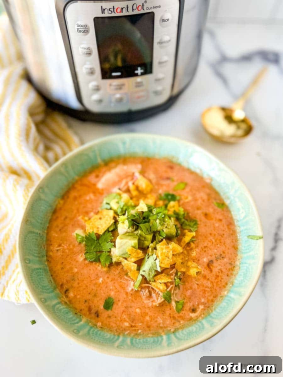 Reinventing Your Thanksgiving Turkey 6 A vibrant green bowl of Instant Pot chicken tortilla soup, garnished and ready to enjoy.