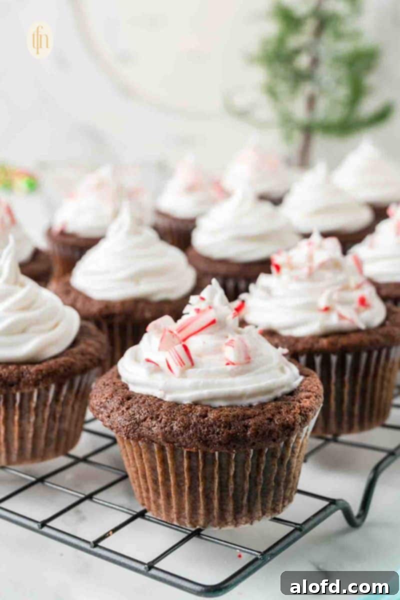 Decadent Peppermint Chocolate Cupcakes 2 Chocolate Peppermint Cupcakes on a cooling rack.
