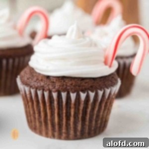 Decadent Peppermint Chocolate Cupcakes 18 Cupcake with frosting a candy cane.