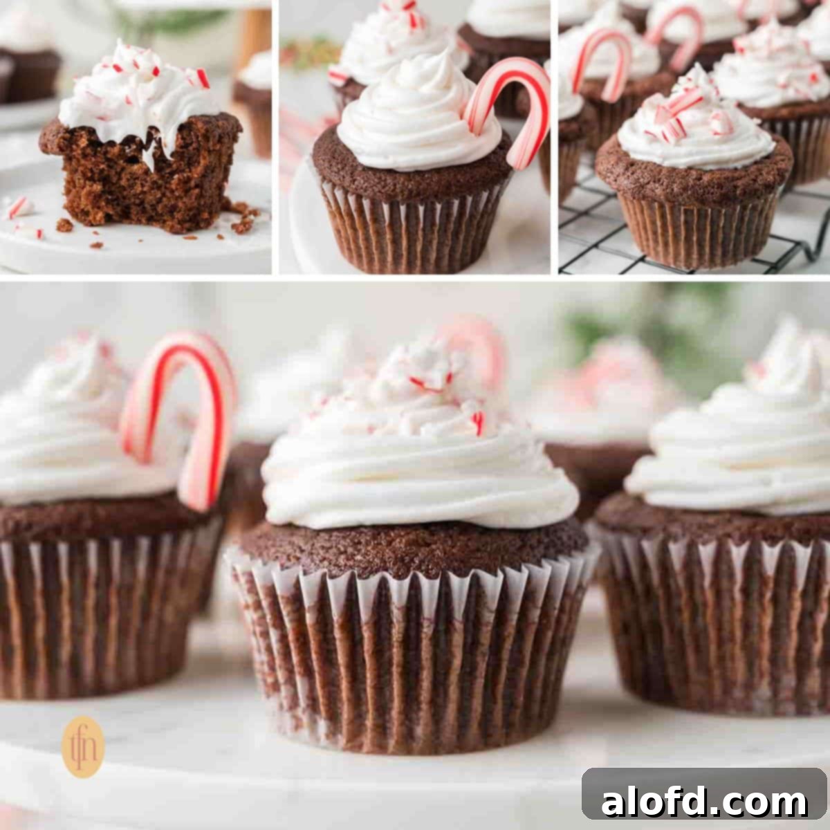 Decadent Peppermint Chocolate Cupcakes 19 A collage of Chocolate Peppermint Cupcakes images, showcasing various angles and details of the festive dessert.