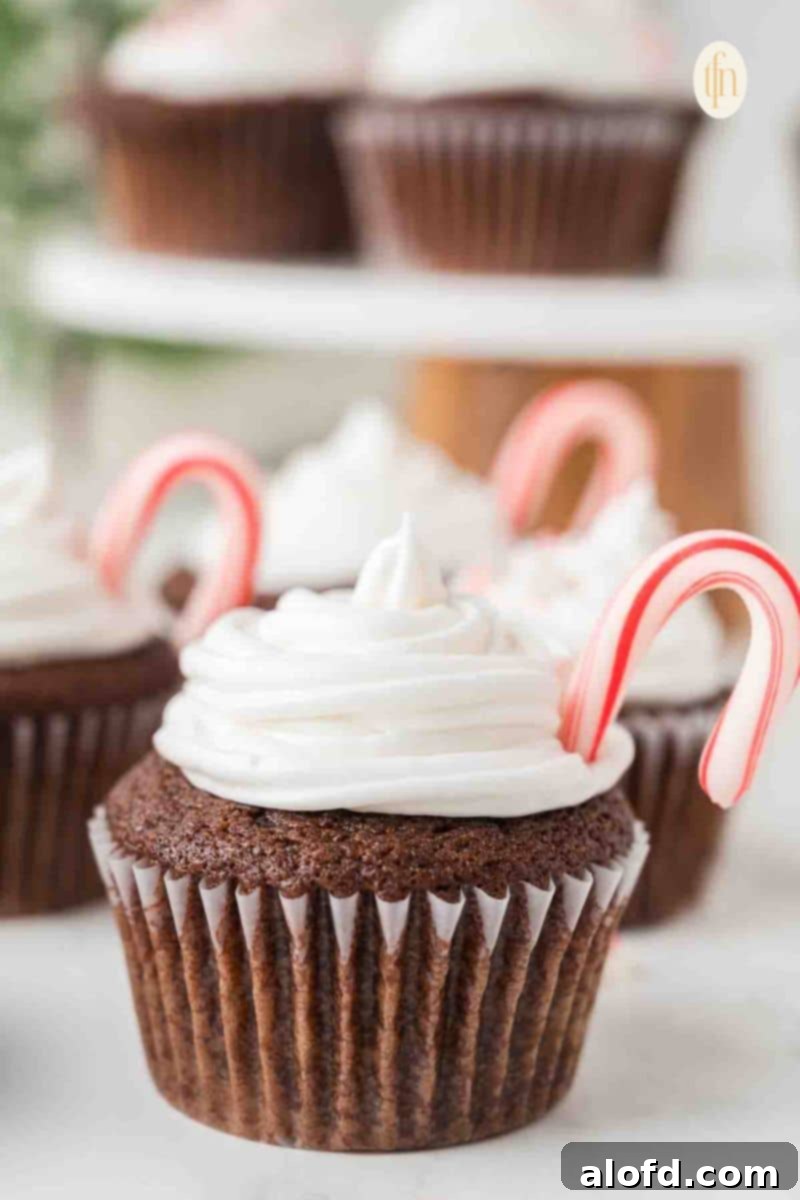 Decadent Peppermint Chocolate Cupcakes 5 A single Chocolate Peppermint Cupcake with frosting and a miniature candy cane decoration.